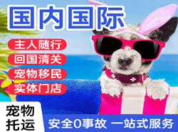 滨海空运代理国际宠物托运 【国