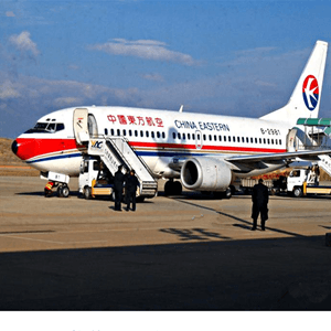 滨海空运代理航空快运业稳步发展的原因是什么？